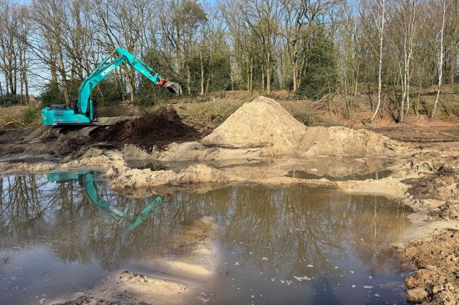 Laich- und Flachwasserzone am Biener See in Lingen (08.03.2026)