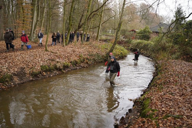 Gäste erleben Wanderfische beim Laichaufstieg hautnah (12.12.2025)