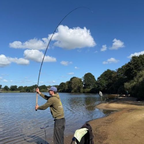 01_Friedfisch_kl1