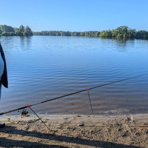 06_Friedfisch_kl